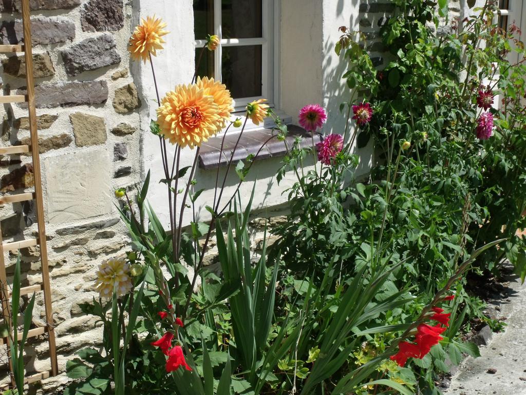 B&B La Beauconniere Lamberville  Dış mekan fotoğraf